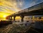 trusted by trusted by