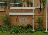 ascot ascot